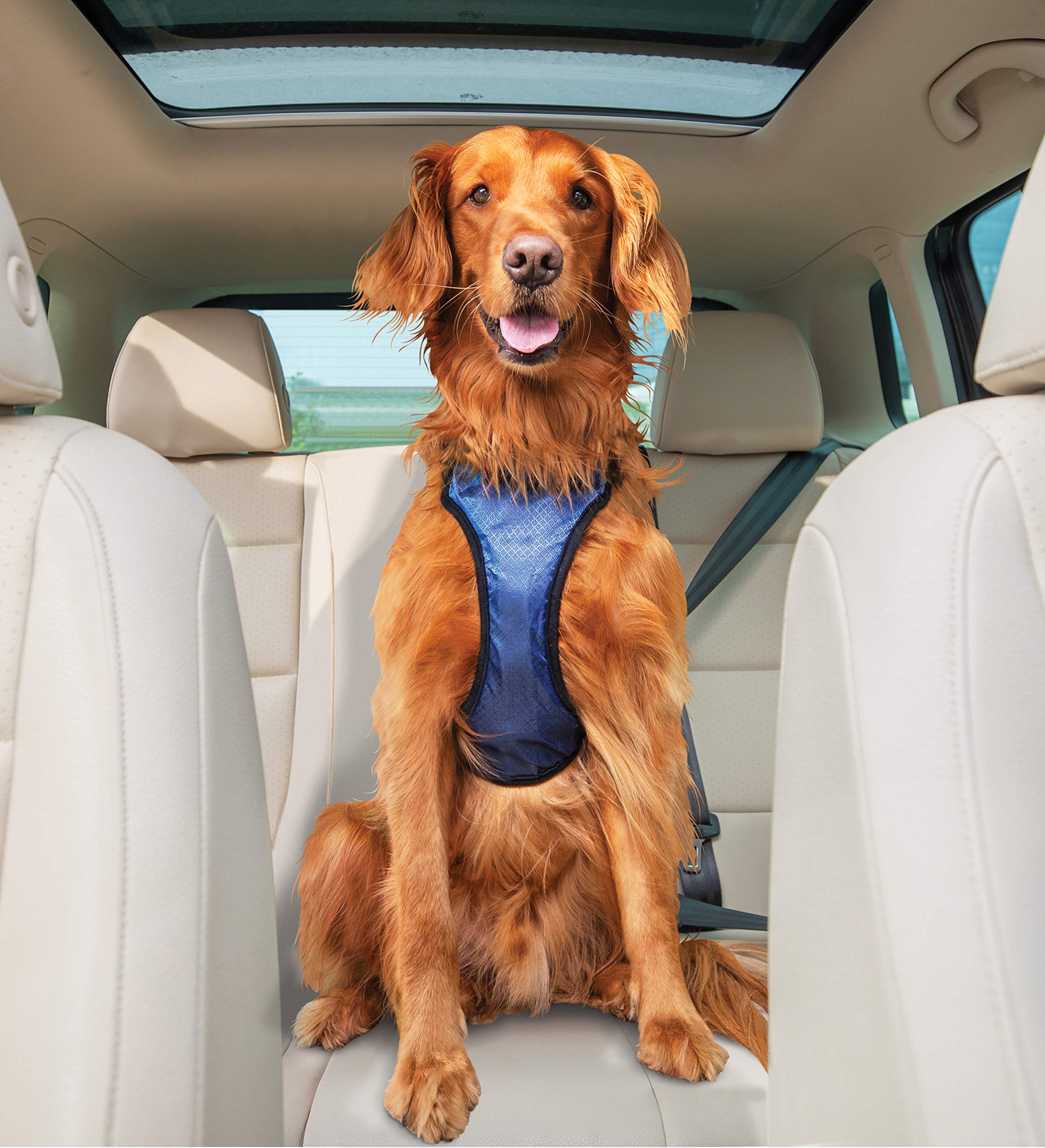 Foto 7 pulgar | Arnés De Seguridad Para Perros Petsafe Happy Ride Para Coche, Tamaño Grande - Venta Internacional.