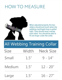Foto 2 | Collar De Entrenamiento Para Perros Rc Pets All Webbing Martingale Sandía - Venta Internacional.