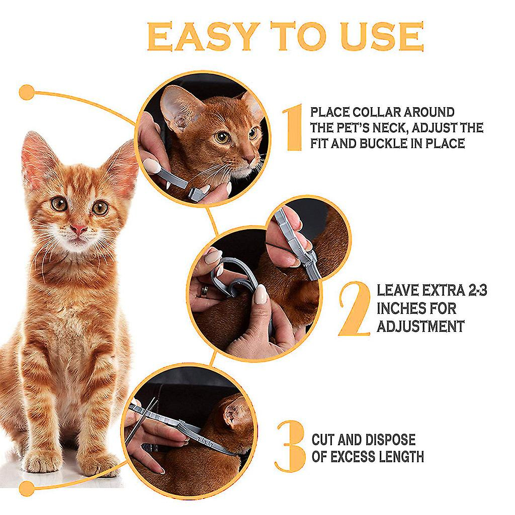 Foto 4 pulgar | Collar Antipulgas Y Garrapatas Para Perros Y Gatos De Hasta 8 Meses - Venta Internacional.