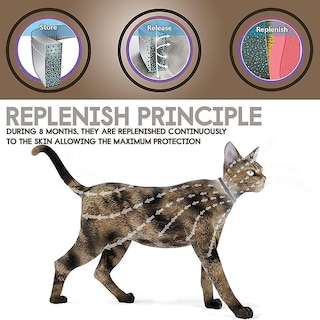 Foto 4 | Collar Antipulgas Y Garrapatas Para Perros Y Gatos De Hasta 8 Meses - Venta Internacional.