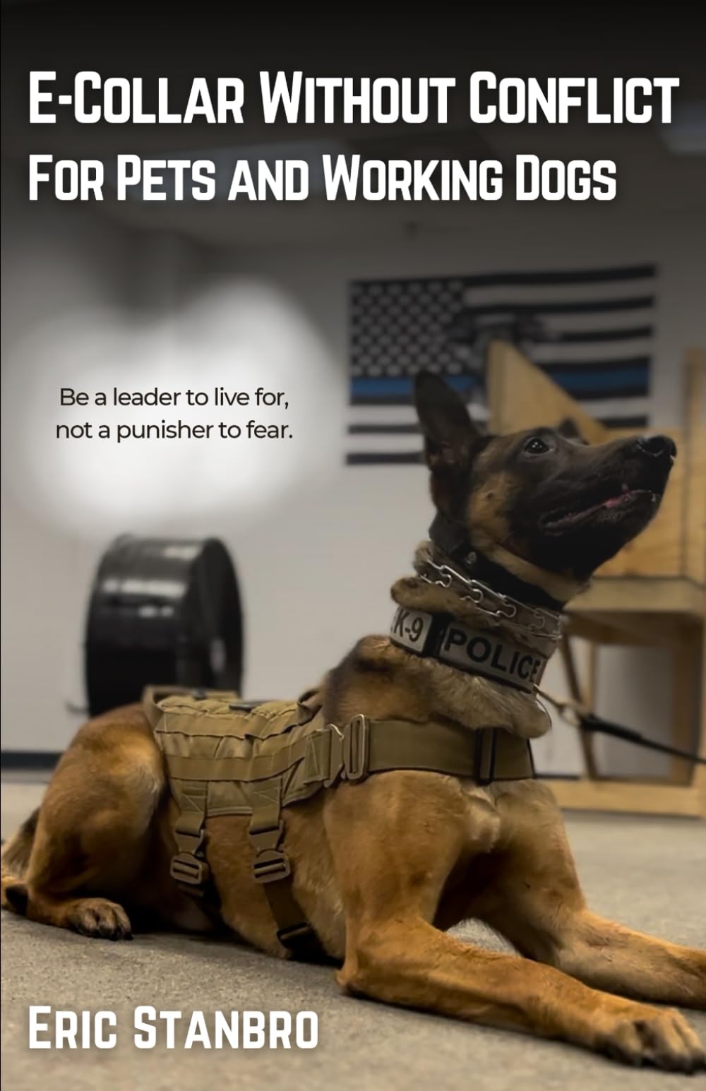 Foto 1 | E-collar Without Conflict: For Pets And Working Dogs - Venta Internacional.