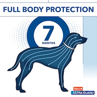 Foto 5 | Collar Antipulgas Y Garrapatas Hartz Ultraguard Para Perros De 12 Semanas O Más - Venta Internacional.
