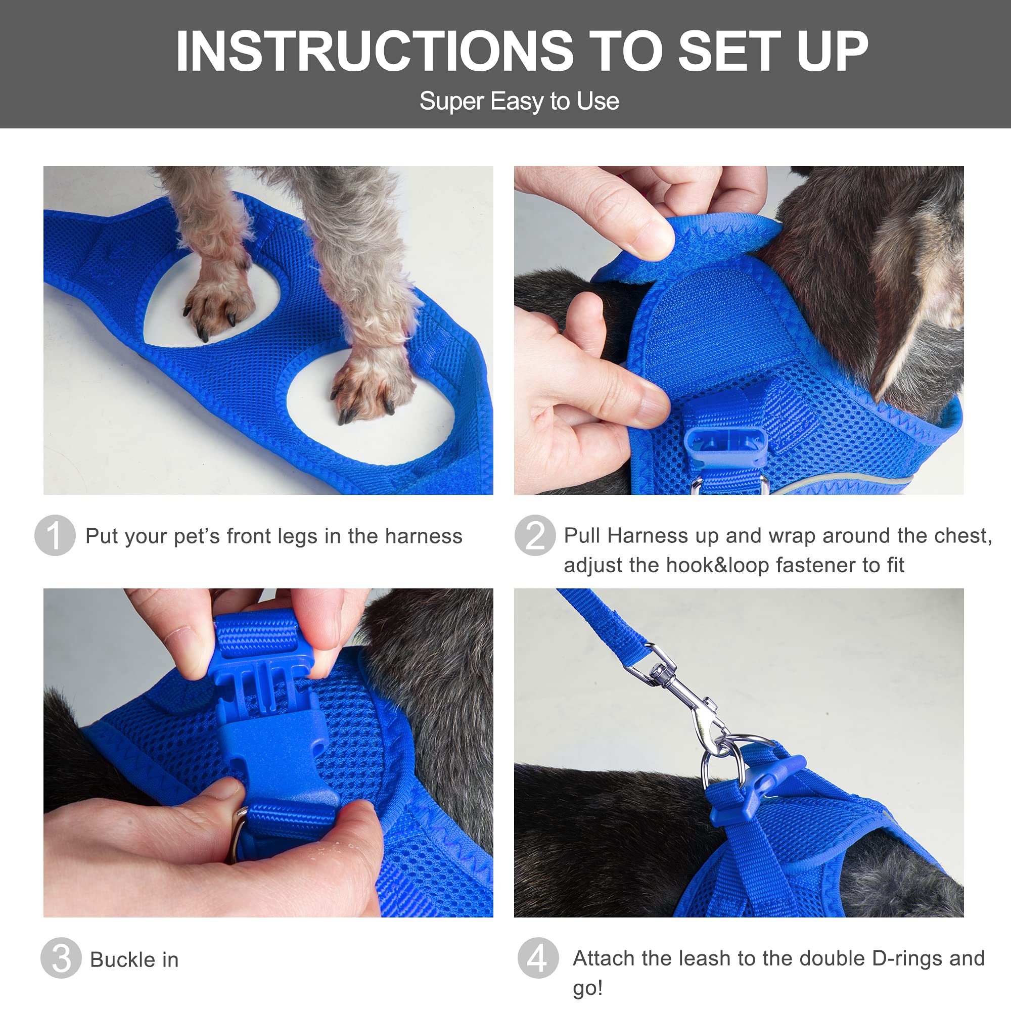 Foto 6 pulgar | Set De Arnés Y Correa Fida Para Pasear Perros Y Gatos, Color Azul Xxxs - Venta Internacional.
