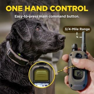Foto 4 | Transmisor E-collar Dogtra Serie X, 280x, 10 Libras+800 M, Alcance - Venta Internacional.