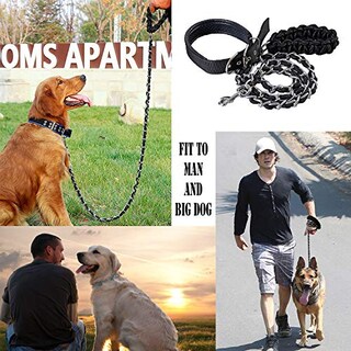 Foto 4 | Correa De Metal Ancbace Para Perros Con Collar Para Mascotas Para Perros Grandes - Venta Internacional.
