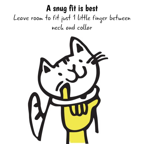 Foto 7 | Collar Para Gatos Kittyrama Aqua Con Bell Cat Friendly, Ganador Del Premio - Venta Internacional.
