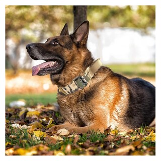 Foto 4 | Collar Y Cuerda Para Perros M/ Lab.g, Camuflaje