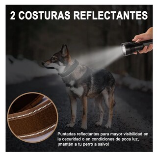 Foto 5 | Collar Y Cuerda Para Perros M/ Lab.g, Camuflaje