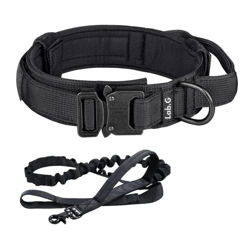 Foto 2 pulgar | Collar Y Cuerda Para Perros Negro Talla Lab.g, Grande
