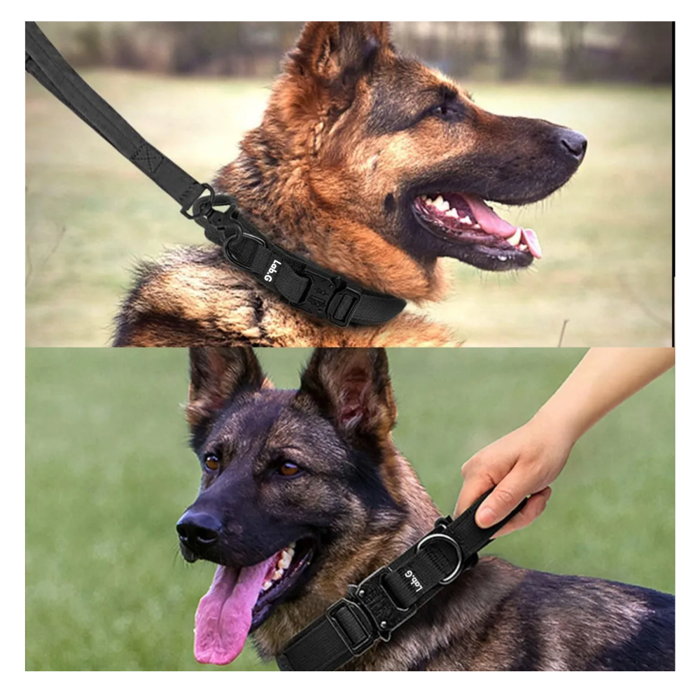 Foto 2 | Collar Y Cuerda Para Perros Negro Talla Lab.g, Grande