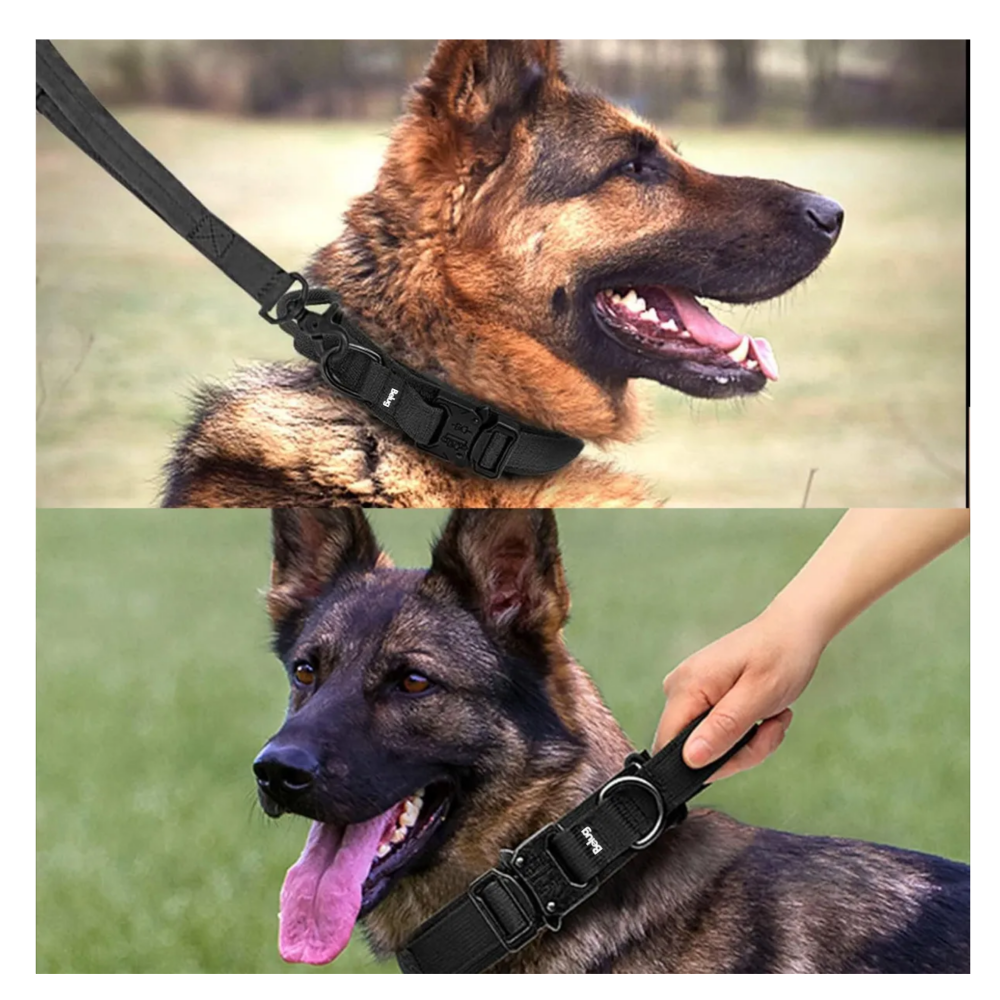 Foto 6 pulgar | Collar Y Cuerda Para Perros Negro Talla Belug, Grande