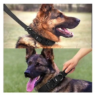 Foto 5 | Collar Y Cuerda Para Perros Negro Talla Belug, Grande