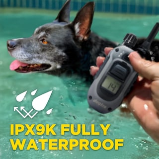 Foto 5 | Collar Electrónico Dogtra 280x Con Mando A Distancia, Alcance De 10 Libras Y 800 M, Resistente Al Agua - Venta Int