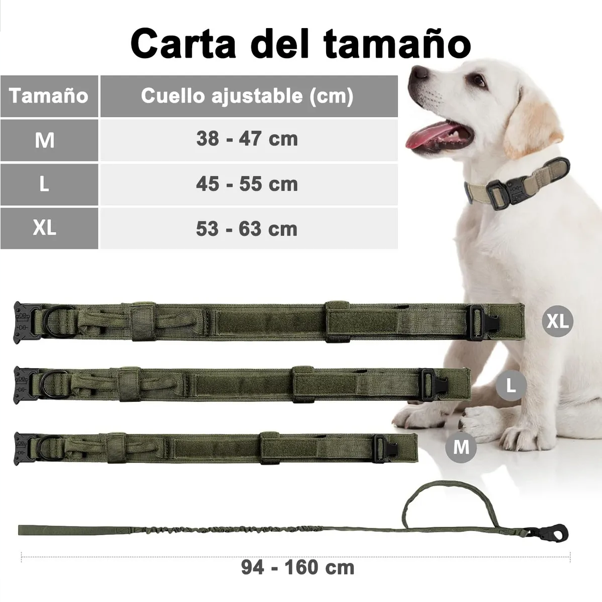 Foto 3 pulgar | Collar Y Cuerda Lab.g Para Perros Verde Militar Talla Mediana
