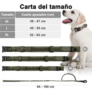 Foto 2 | Collar Y Cuerda Lab.g Para Perros Verde Militar Talla Mediana