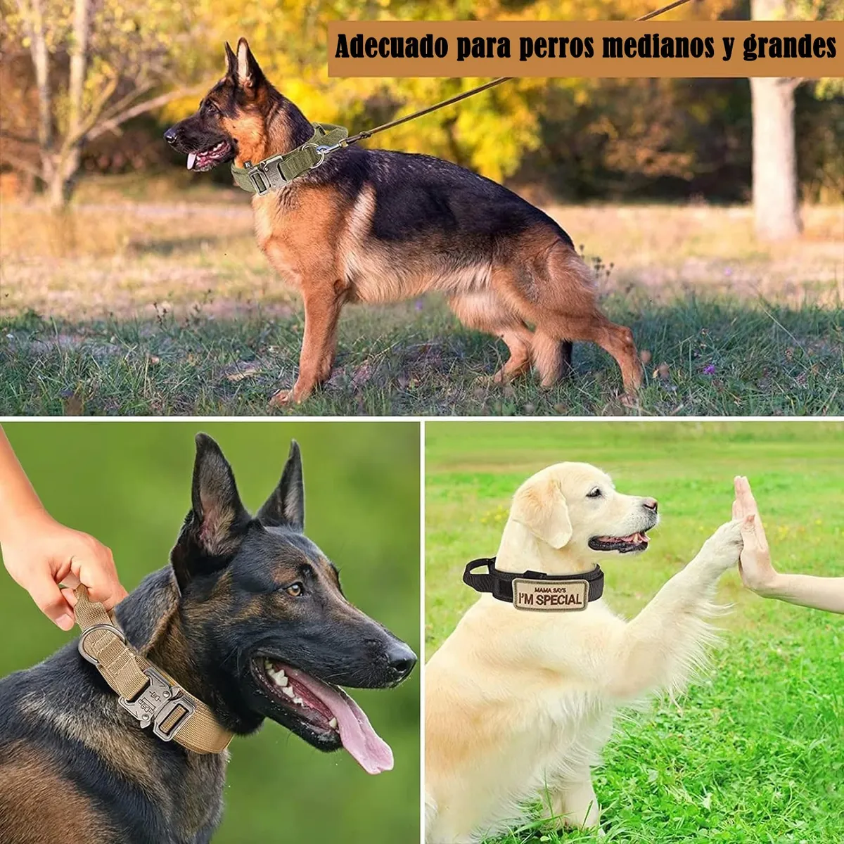 Foto 5 | Collar Y Cuerda Lab.g Para Perros Verde Militar Talla Mediana