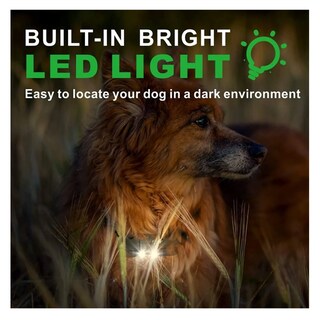 Foto 4 | Collar Eléctrico Para Entrenamiento De Perros 2pz Lab.g, Negro Y Lineas Verdes