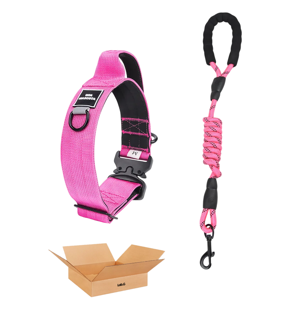 Foto 2 pulgar | Collar Lab.g Perro Ajustable Fucsia Talla L Grande