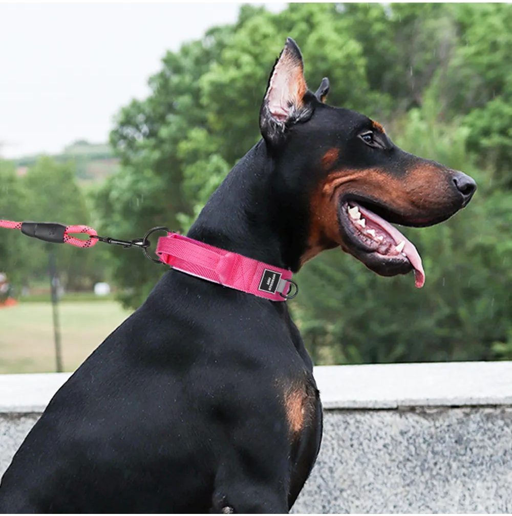 Foto 3 pulgar | Collar Lab.g Perro Ajustable Fucsia Talla L Grande