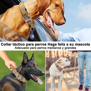 Foto 5 | Collar Y Cuerda Belug Para Perros Caqui Talla Grande