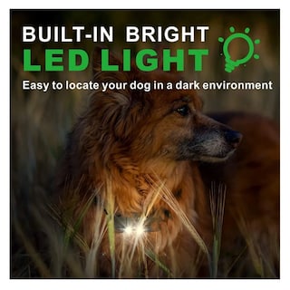 Foto 4 | Collar Eléctrico Para Entrenamiento De Perros Lab.g, 3pz Negro Y Lineas Verdes