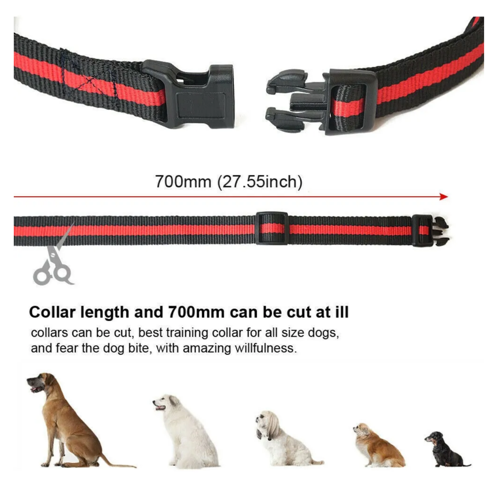 Foto 4 | Collar De Adiestramiento De Perros Eléctrico Lab.g,  Negro Naranja