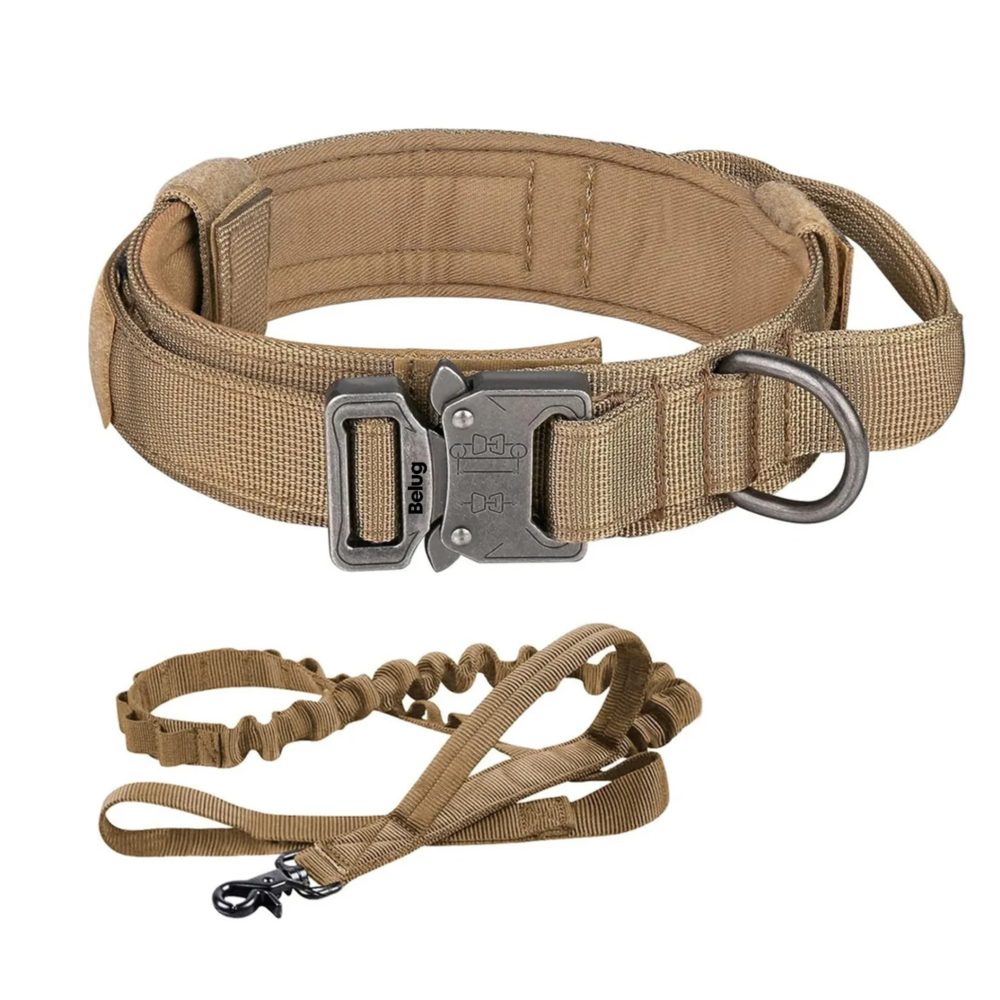 Foto 2 pulgar | Collar Y Cuerda Para Perros Belug,  Caqui Talla Xgrande