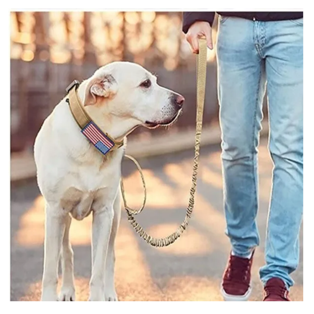 Foto 6 pulgar | Collar Y Cuerda Para Perros Belug,  Caqui Talla Xgrande