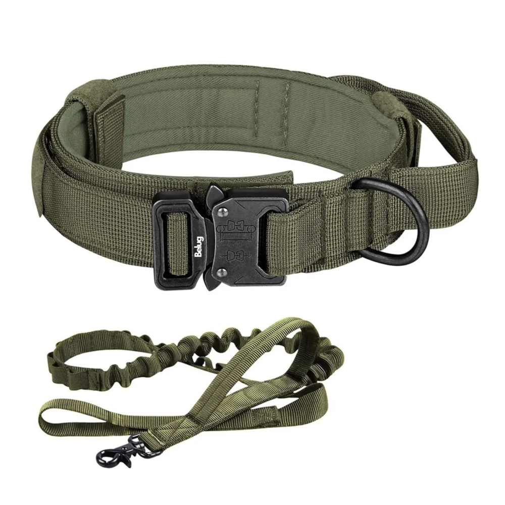 Foto 2 pulgar | Collar Y Cuerda Para Perros Belug,  Verde Militar Talla Xgrande