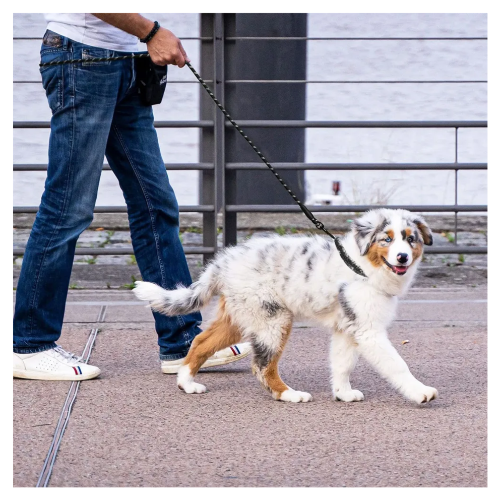 Foto 5 | Correa Reflectante Para Perros Belug,  Negro Collar 2pz