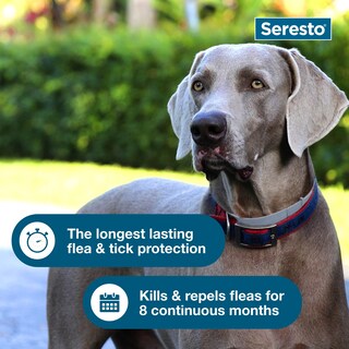 Foto 6 | Collar De Tratamiento De Pulgas Y Garrapatas Seresto Para Perros Grandes De 8 Meses - Venta Internacional.
