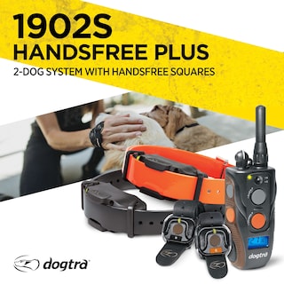 Foto 4 | Collar Electrónico De Adiestramiento De Perros Dogtra 1902s Handsfree Plus Para 2 Perros - Venta Internacional.