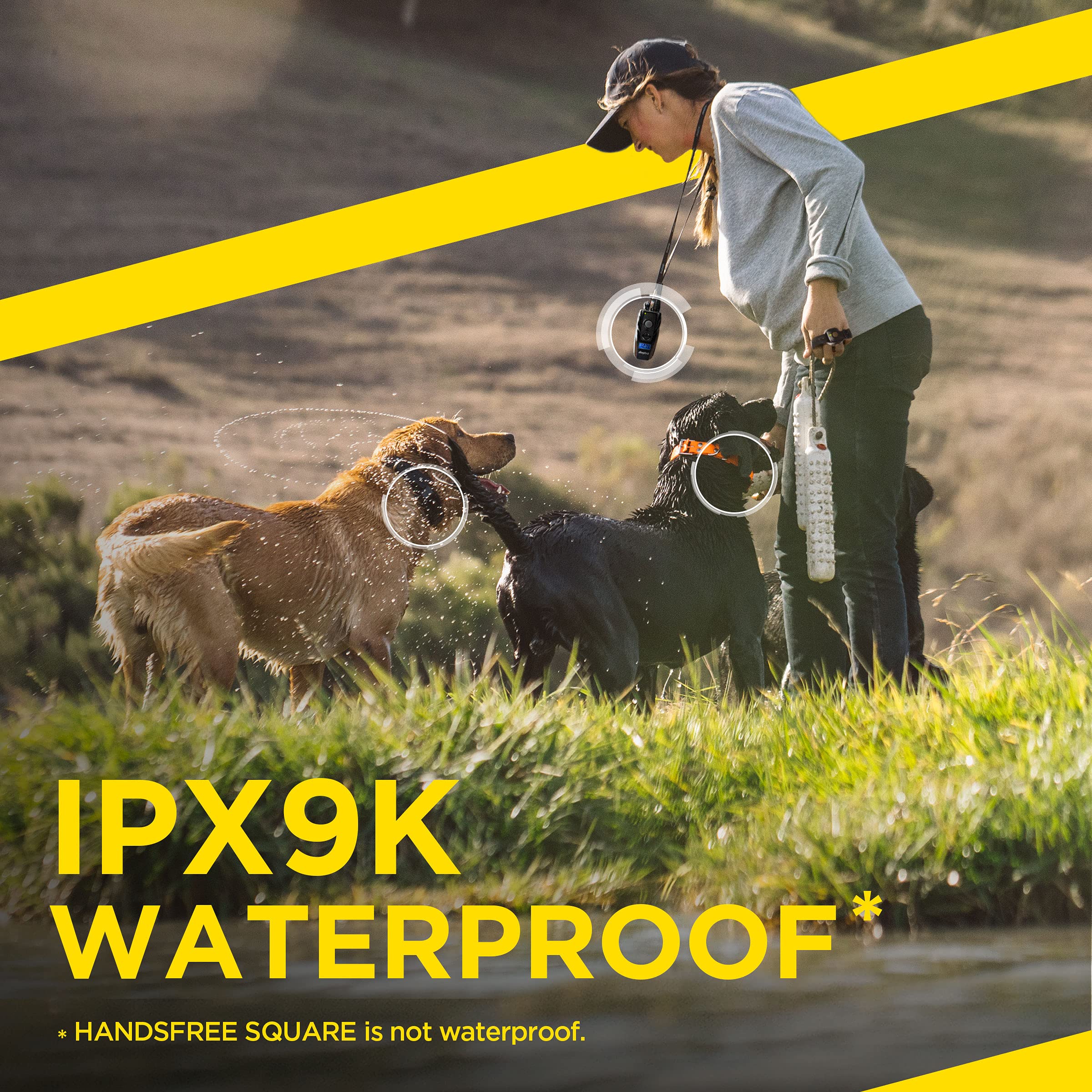 Foto 6 | Collar Electrónico De Adiestramiento De Perros Dogtra 1902s Handsfree Plus Para 2 Perros - Venta Internacional.
