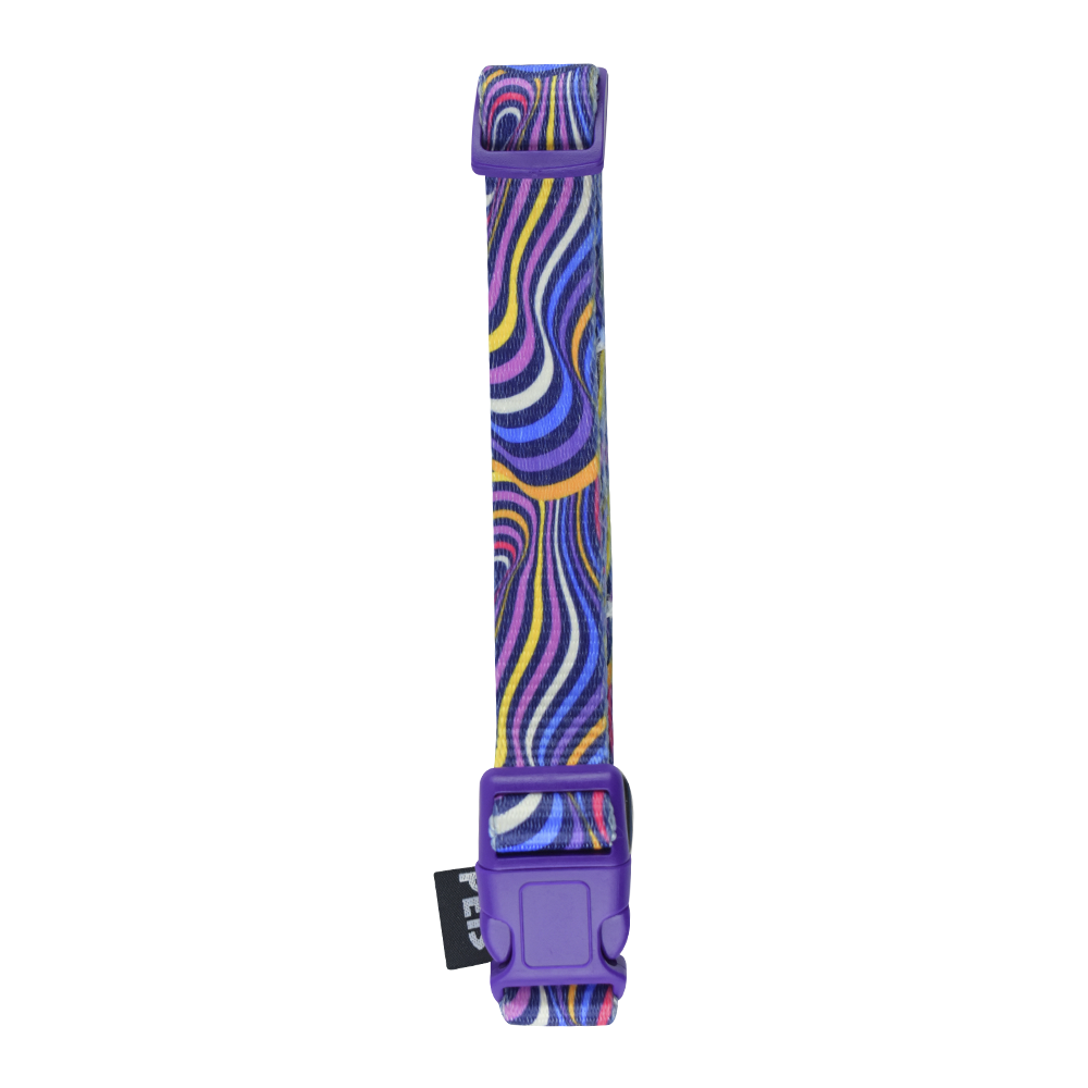 Foto 4 pulgar | Fancy Pets Collar Galería Aqua Pop Tamaño Grande Para Perro