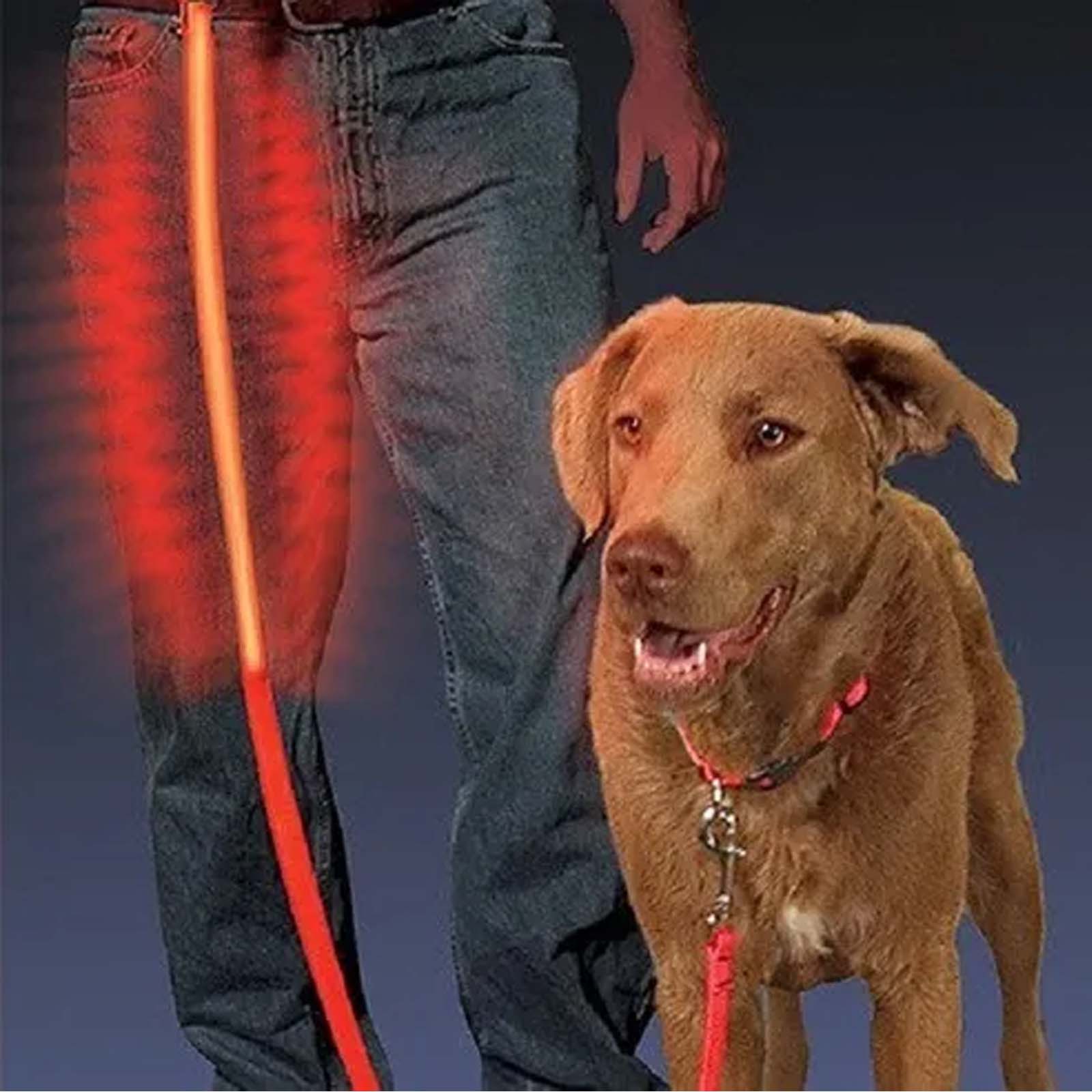 Foto 3 pulgar | Correa para Mascota Nite Ize con Luz Led color Rojo