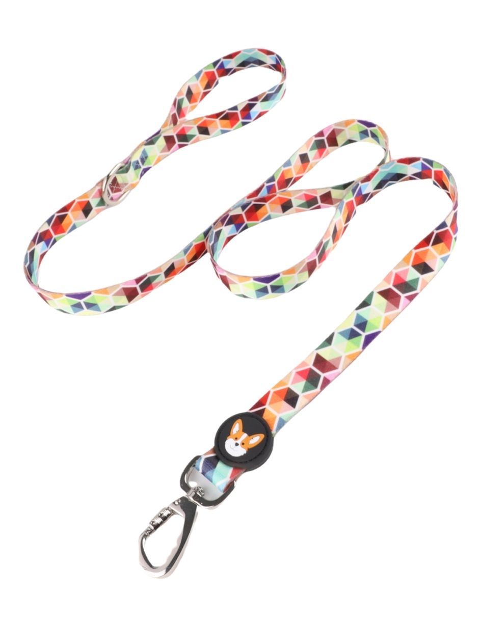 Correa para Perro Pet it Dash Chica Multicolor