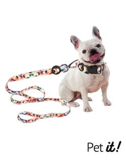 Foto 3 | Correa para Perro Pet it Dash Chica Multicolor