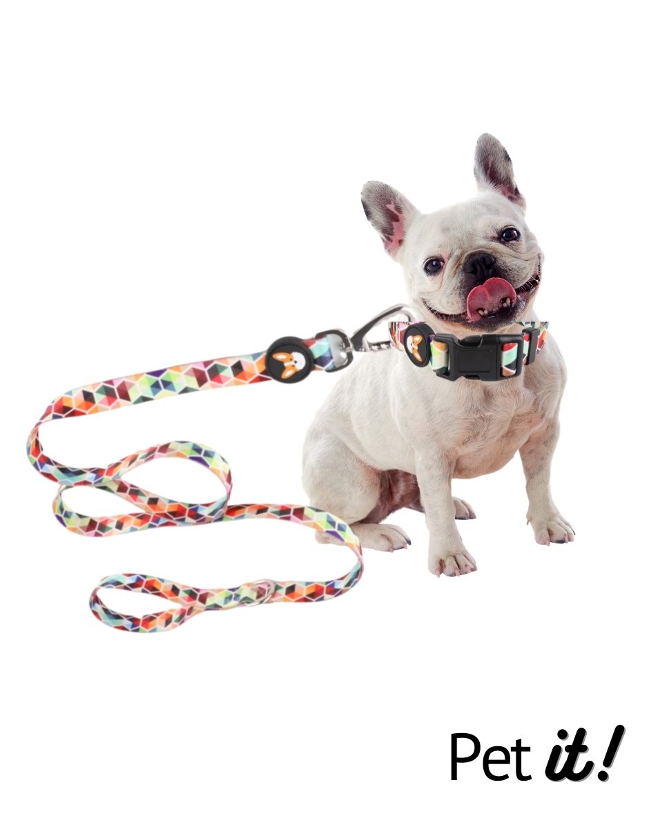 Foto 3 | Correa para Perro Pet it Dash Grande Multicolor