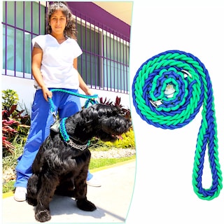 Foto 2 | Correa para Perro Razas Grandes Collar de Seguriad Color Bitono Azul y Verde