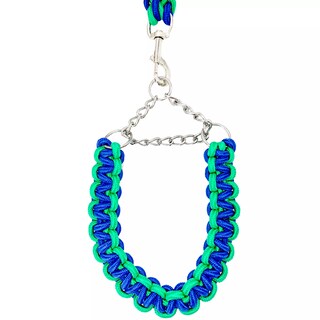 Foto 4 | Correa para Perro Razas Grandes Collar de Seguriad Color Bitono Azul y Verde