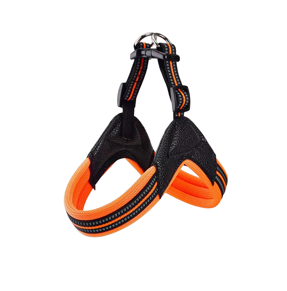 Pechera Belug color Naranja para Mascota