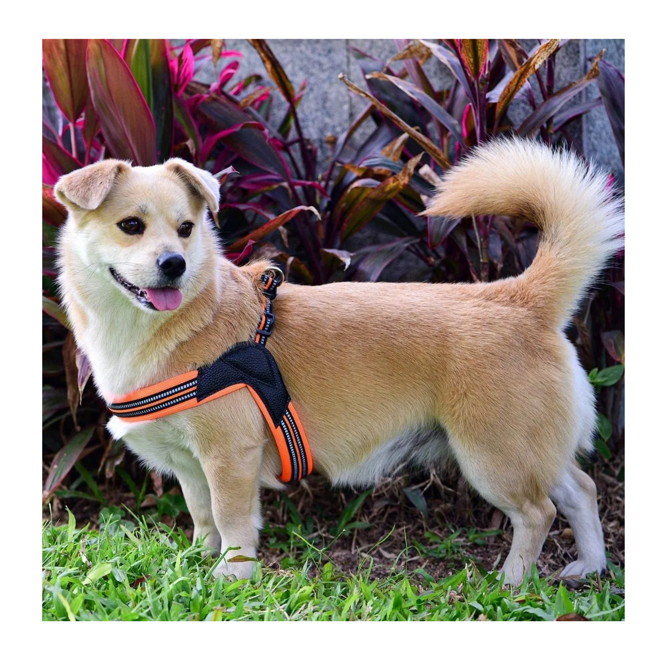 Foto 5 | Pechera Belug color Naranja para Mascota