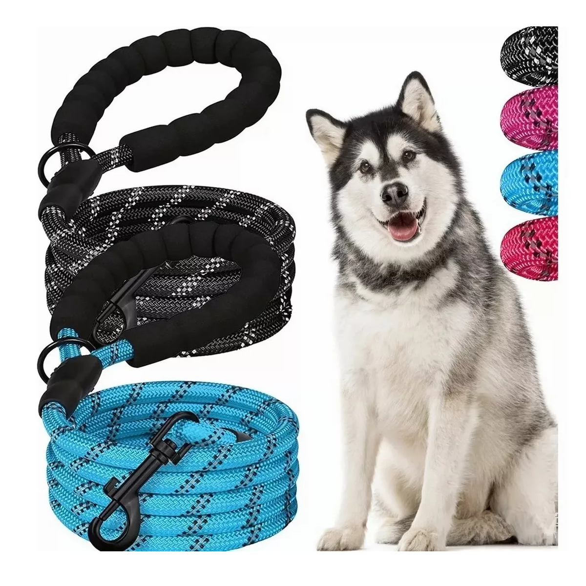 Foto 4 pulgar | Correa para Perro Eo Safe Imports Esi-12855 Multicolor 2 Piezas