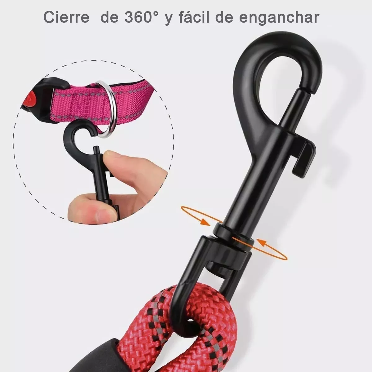 Foto 3 pulgar | Correa para Perro Eo Safe Imports Esi-12856 Multicolor 2 Piezas
