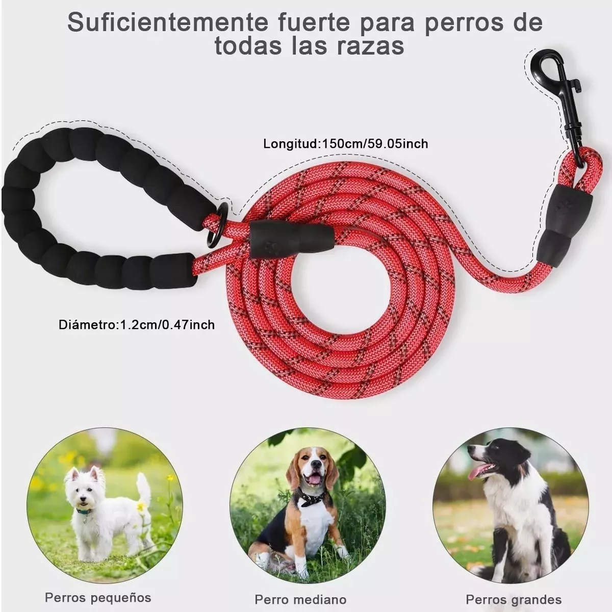 Foto 4 pulgar | Correa para Perro Eo Safe Imports Esi-12856 Multicolor 2 Piezas