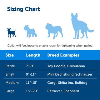 Foto 4 | Collar Martingale PetSafe con Hebilla Quick Snap Azul Real - Venta Internacional