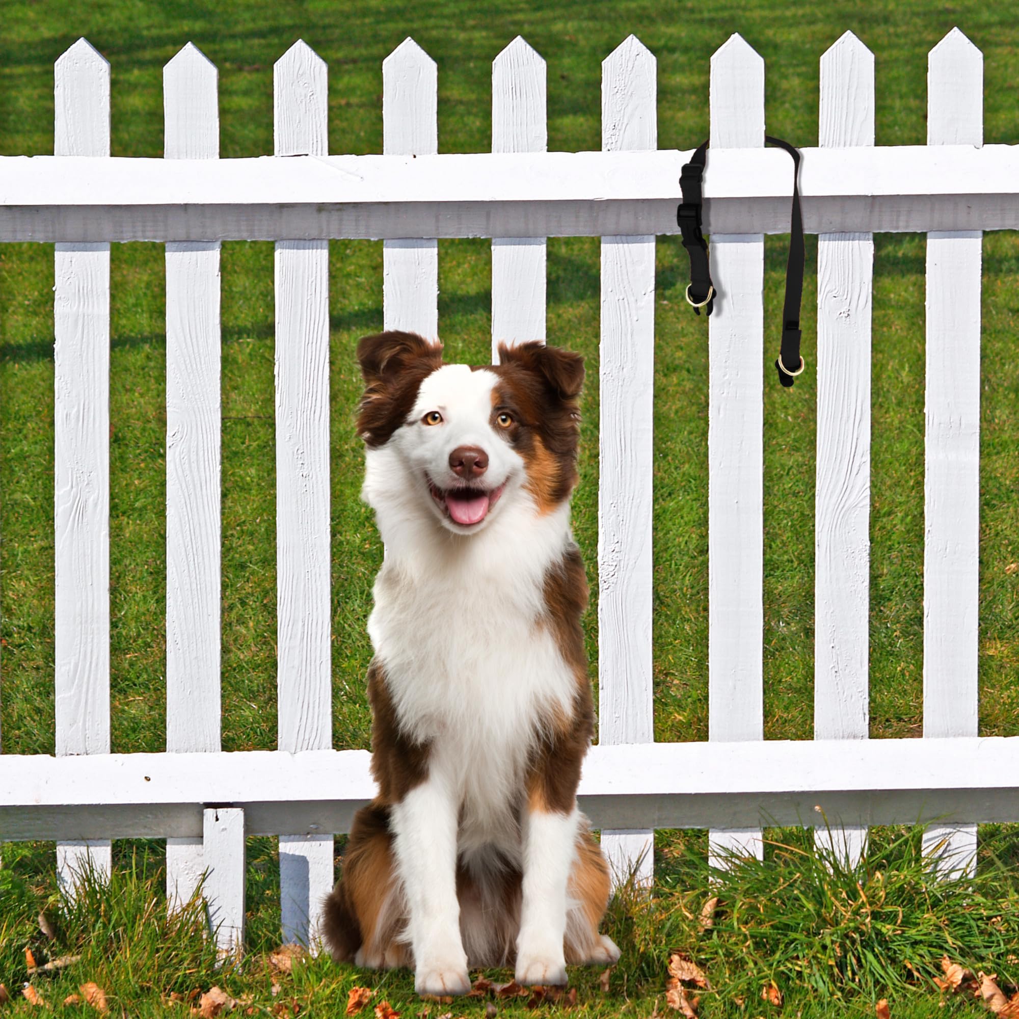 Foto 2 | Collar para Perro PetSafe Keepsafe Break-Away Pequeño - Venta Internacional