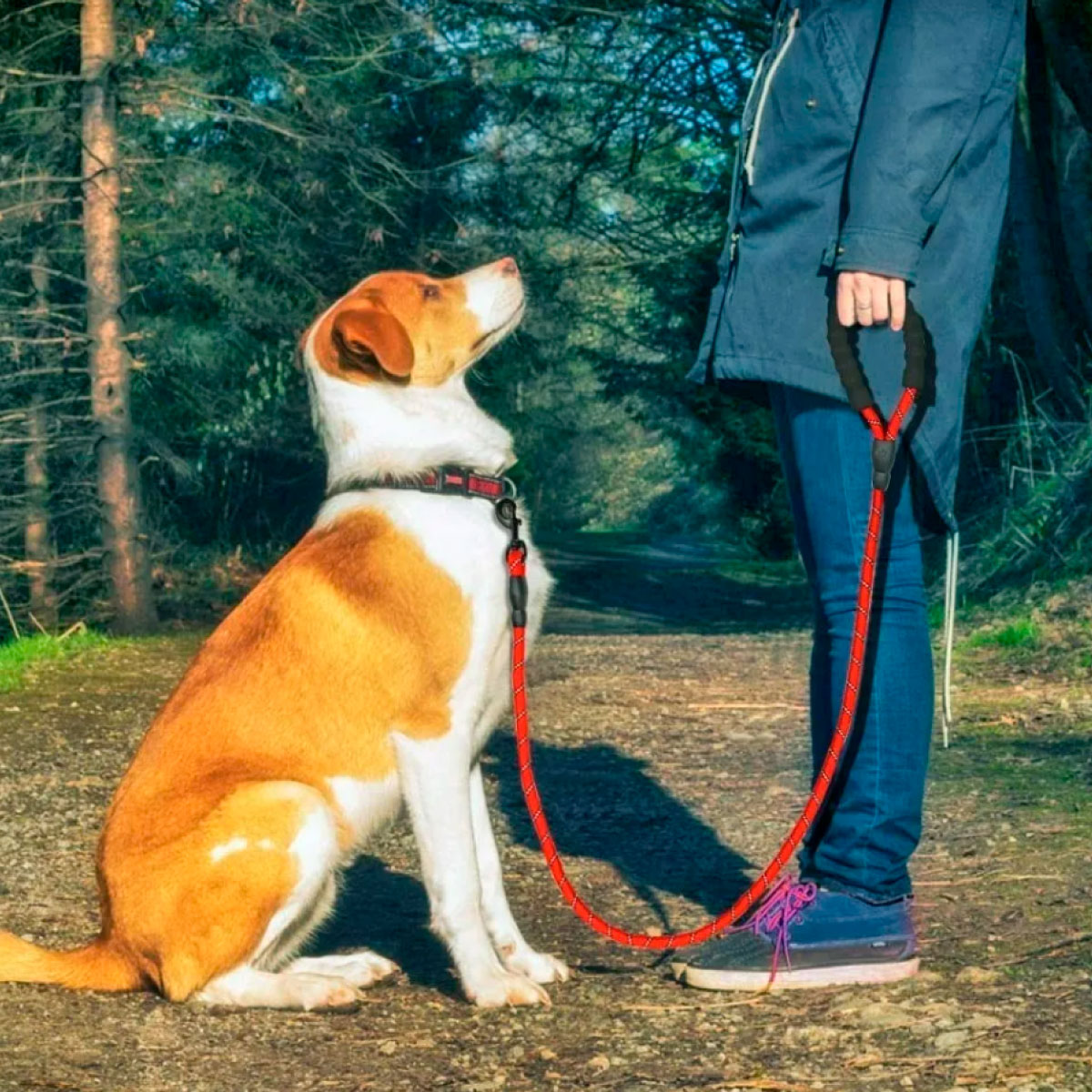 Foto 7 | Correa Reflejante Poli Pets Resistente para Mascota