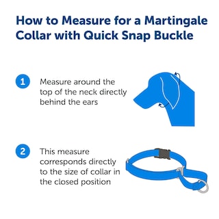 Foto 3 | Collar Martingale PetSafe con Hebilla Quick Snap 3/4 Azul Real - Venta Internacional