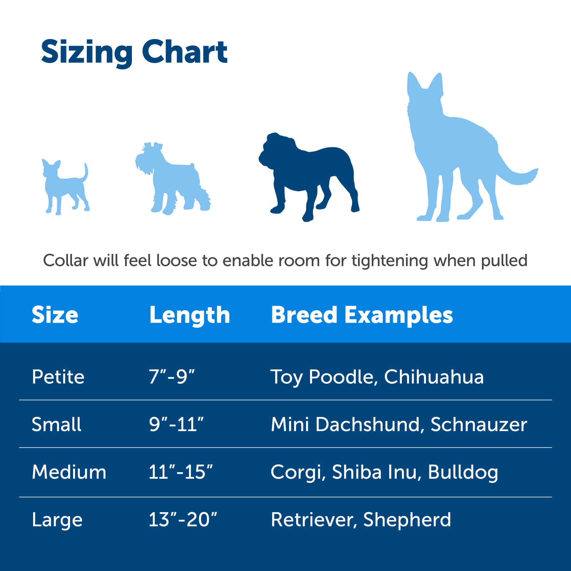 Foto 5 pulgar | Collar Martingale PetSafe con Hebilla Quick Snap 3/4 Azul Real - Venta Internacional